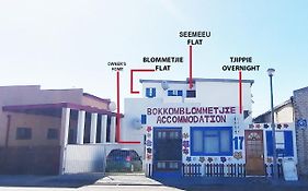 Bokkomblommetjie